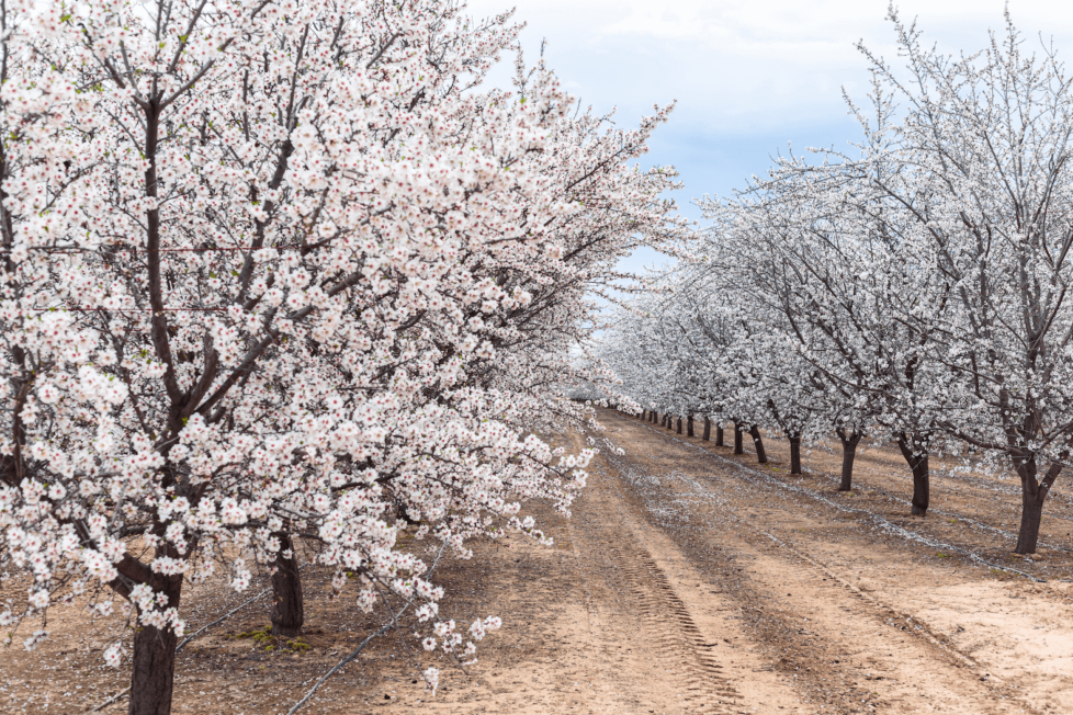 Fresno County